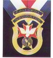 Faithful Navigator Jewel